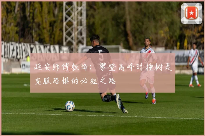 延安师傅教诲：攀登高峰时撞树是克服恐惧的必经之路