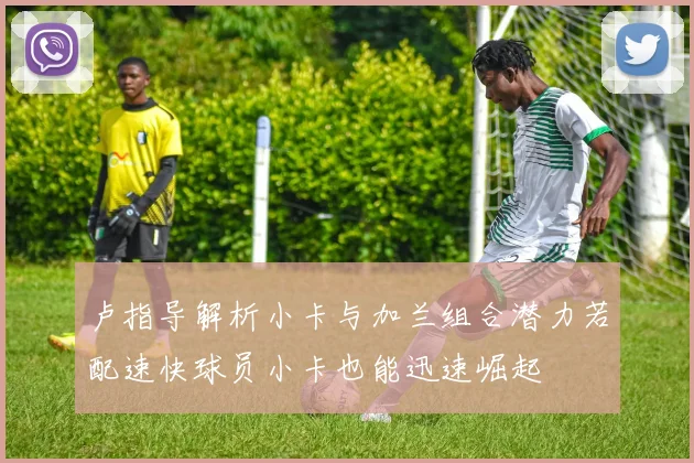 卢指导解析小卡与加兰组合潜力若配速快球员小卡也能迅速崛起